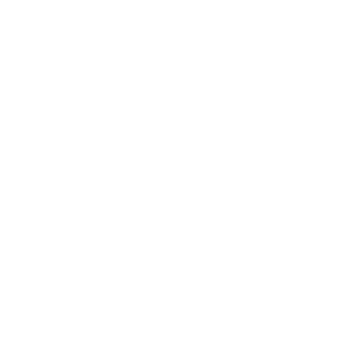 Piggy Bank Icon